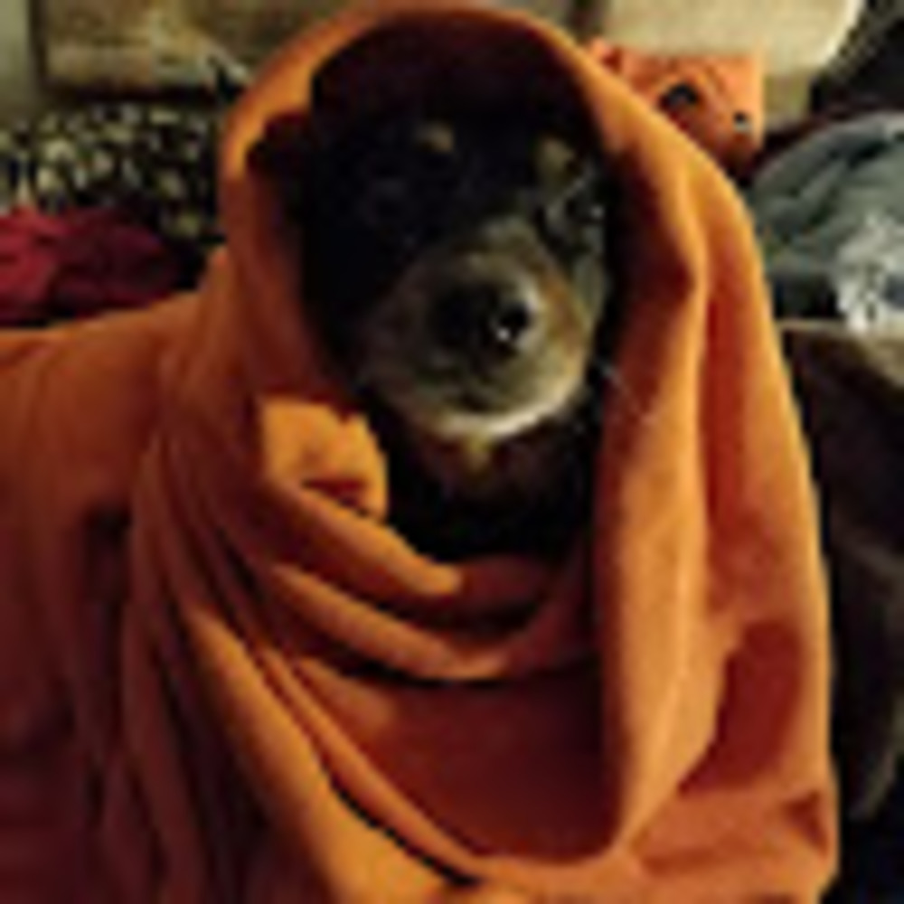 Meet your Posher, Lisa marie